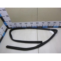 Уплотнитель стекла двери Renault Sandero (2009 - 2014) 8200733142