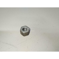 Гайка переднего амортизатора VAG Amarok 2010 WHT005284A