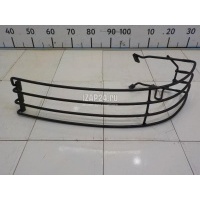 Защита фар Renault TRUCK Kerax (1997 - 2012) 5010306813