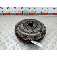 Маховик (демпфер сцепления) Volkswagen Tiguan 1 (2007-2016) 2008 000295,03L105266R