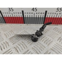 Датчик детонации Opel Astra H (2004-2014) 2008 0261231181,55352183