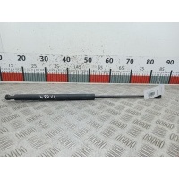 Амортизатор крышки багажника Peugeot 206 (1998-2006) 2005 9631441380,8731E6