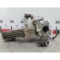 Радиатор системы ЕГР Volkswagen Golf 4 (1997-2004) 2003 038131513D,038131513D