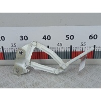 Петля капота левая Ford Transit_Custom 1 (2012-2023) 2014 BK2116801,1769934