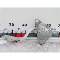 Петля капота правая Opel Corsa C (2000-2006) 2001 ,9196459