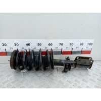 Стойка амортизатора переднего левого BMW X5 (E53) (1999-2006) 2003 22184697,31316764601