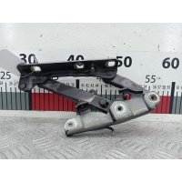Петля капота правая Mercedes E-Class (W211) (2002-2009) 2004 ,A2118800428