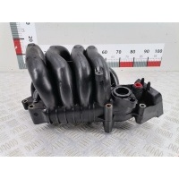 Коллектор впускной Ford Focus 1 (1998-2005) 2002 1S4G9424B1C,1113067