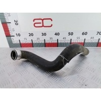 Патрубок интеркулера Opel Corsa C (2000-2006) 2006 13101639 24460994DA,13101639