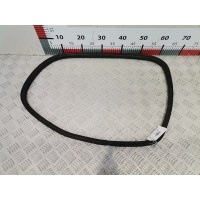 Уплотнитель стекла двери Toyota Land_Cruiser_Prado 3 (J120) (2002-2009) 2003