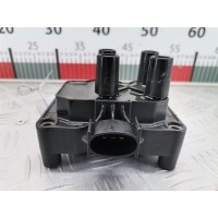 Катушка зажигания Ford Fiesta 5 (2002-2008) 2003 0221503491,1317972