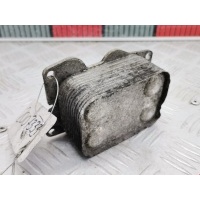 Теплообменник Peugeot 407 (2004-2010) 2006 6790859280,1700806