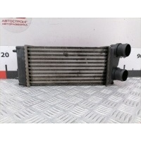 Интеркулер (радиатор интеркулера) Peugeot 307 (2001-2008) 2004 876923J,0384H5
