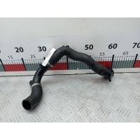 Патрубок системы охлаждения Audi A3 8P (2003-2013) 2009 3C0121087A,3C0122101ET