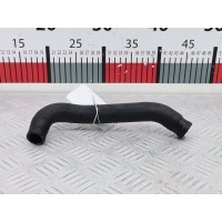 Патрубок системы охлаждения Volkswagen Crafter 1 (2006-2016) 2009 A9068322223,2E0121073