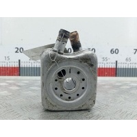 Теплообменник Volkswagen Crafter 1 (2006-2016) 2009 06B117021B,028117021L