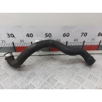 Патрубок системы охлаждения Mercedes E-Class (W211) (2002-2009) 2003 A2115010782,A2115010782