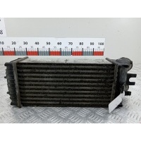Интеркулер (радиатор интеркулера) Citroen Berlingo 1 (1996-2012) 2007 874964G,0384G5