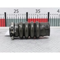 Патрубок интеркулера Peugeot 307 (2001-2008) 2005 9650325480,0382FN