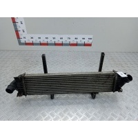 Интеркулер (радиатор интеркулера) Ford C-MAX 1 (2003-2010) 2003 8V619L440AC,1673687