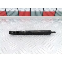 Форсунка дизельная электрическая Mercedes E-Class (W211) (2002-2009) 2007 EJBR04201D,A6460700987