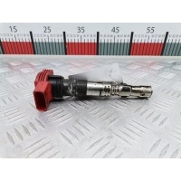 Катушка зажигания Audi A6 C6 (2004-2011) 2005 78427002,077905115T
