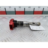 Катушка зажигания Audi A6 C6 (2004-2011) 2005 78427002,077905115T