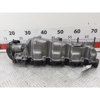 Коллектор впускной Audi A4 B8 (2007-2015) 2008 1024113S01,03L129711E