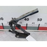 Петля капота правая Volkswagen Eos (2006-2015) 2008 100823302C,1Q0823302C