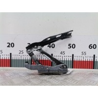 Петля капота левая Volkswagen Eos (2006-2015) 2008 100823301C,1Q0823301C