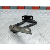 Петля капота правая Volkswagen Crafter 1 (2006-2016) 2014 9067500121,A9067500121