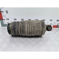 Пневмоподушка задняя левая Mercedes E-Class (W211) (2002-2009) 2005 C095083,A2113200925