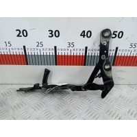 Петля капота правая BMW X3 (E83) (2003-2010) 2006 3411448,41613452844