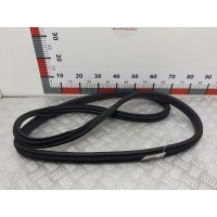 Уплотнитель двери Opel Vectra C (2002-2008) 2006 13207142,13207142