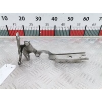Петля капота правая Citroen C5 1 (2000-2008) 2007 ,791338