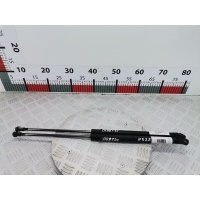 Амортизатор крышки багажника Seat Leon 1 (1M) (1999-2005) 2001 1M6827550A,1M6827550A