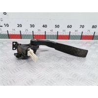 Педаль газа Volkswagen Touareg 1 (2002-2010) 2004 6PV00802624,7L0723507D
