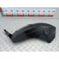 Подкрылок (защита крыла) задний левый Renault Clio 2 (1998-2005) 2004 8200068384,7700410232