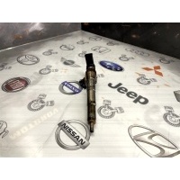 Форсунка Renault Scenic 2010 166008052R