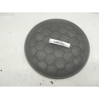 Сетка (решетка) динамика Перед. Volkswagen Passat B5+ (GP) 2001 3B0868149