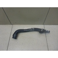 Патрубок Citroen-Peugeot C4 Picasso (2006 - 2014) 1351NG