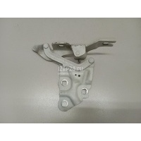 Петля капота левая BMW X3 F25 (2010 - 2017) 41617262875
