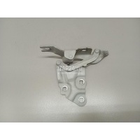 Петля капота правая BMW X3 F25 (2010 - 2017) 41617262876