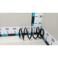 Пружина передняя Nissan Qashqai+2 (JJ10) (2008 - 2014) 54010JD02C
