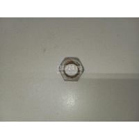 Гайка VAG Tiguan (2011 - 2016) N01116417