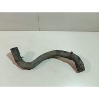 Патрубок радиатора Renault Kangoo 2008 8200795019