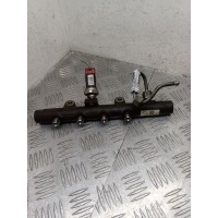топливная рампа Renault Scenic 2 2008 5WS40208,8200296867,5WS40154