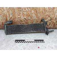 Радиатор топлива Mercedes-Benz C W202/S202 1995 A2025007903