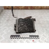 Радиатор масляный Volkswagen Passat B5 2000 8D0203509A