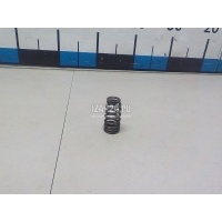 Пружина клапана BMW 3-serie F30/F31/F80 (2011 - 2020) 11347618835